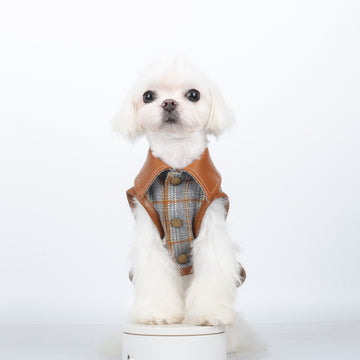 Aristocrat Plaid & Leather Pet Coat