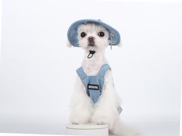 Vintage Denim Pet Cowboy Set - Hat & Harness Combo
